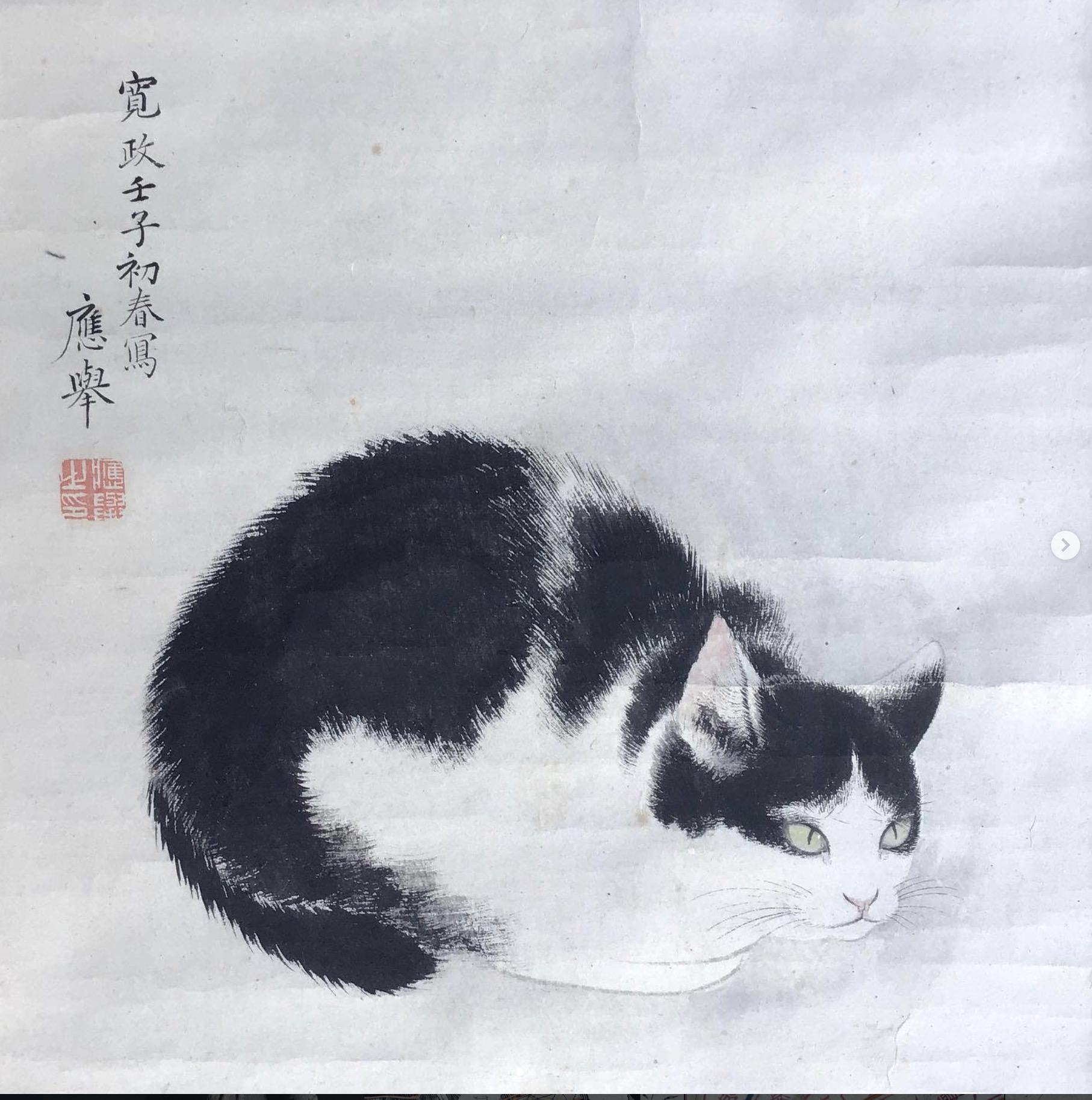 円山応挙筆 猫図 誠拙周樗の讃 軸装