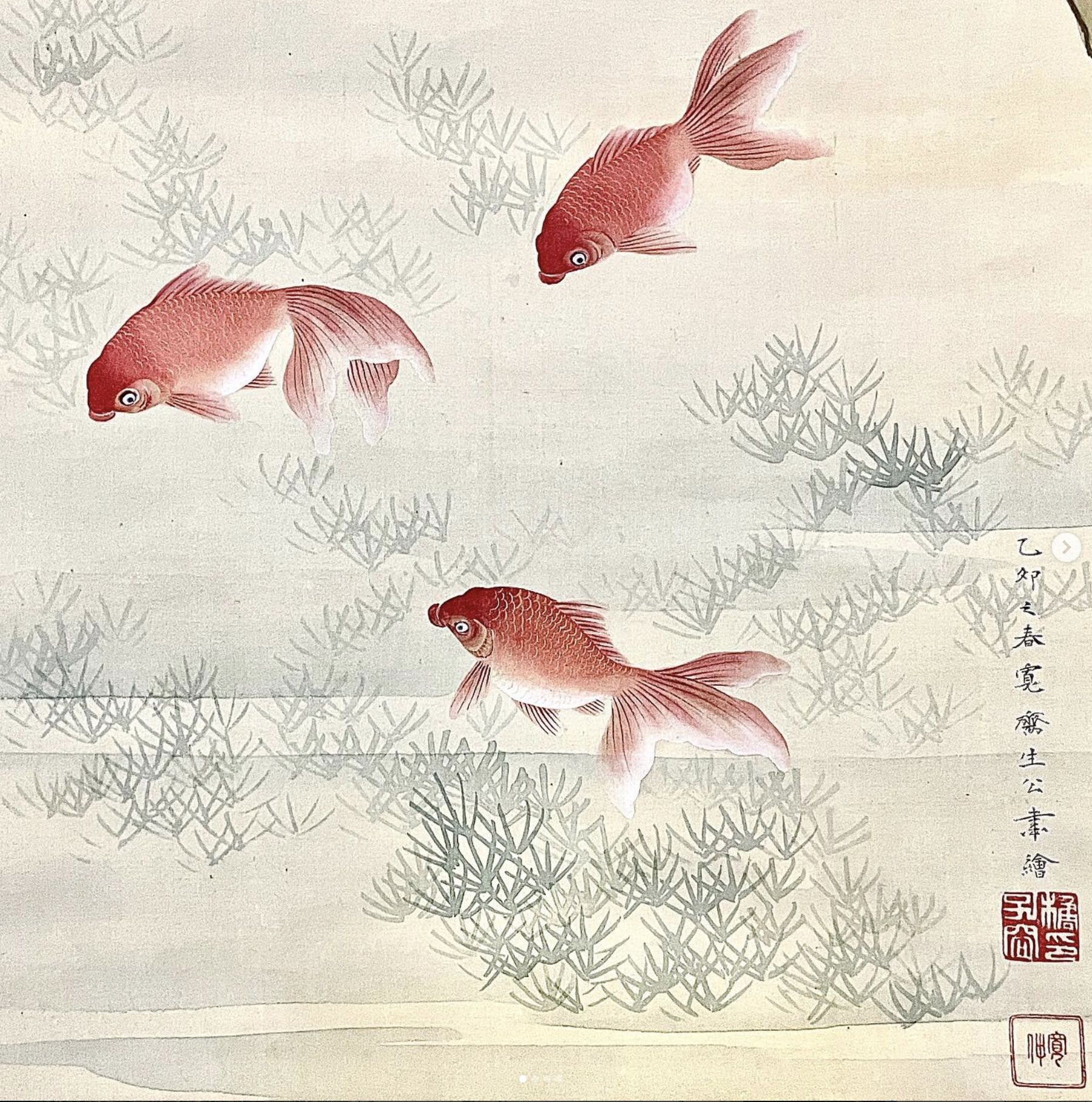 森寛斎 金魚図 絹本着色 軸装